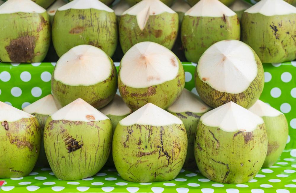 Thai Aromatic Young Fresh Coconut